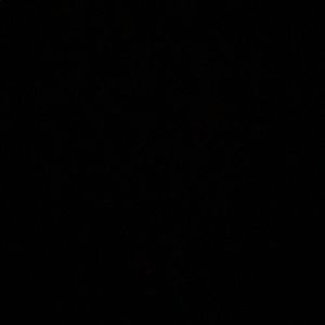 Meet your Posher, Randi